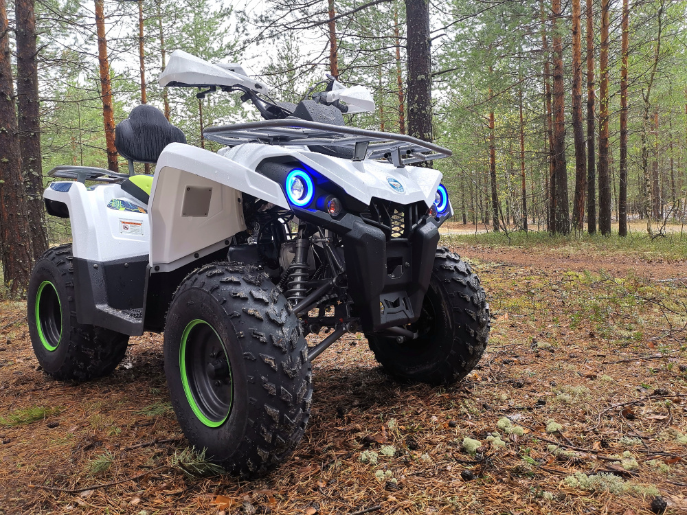 Квадроцикл PROMAX RENEGADE 280 (2025) в Назрани