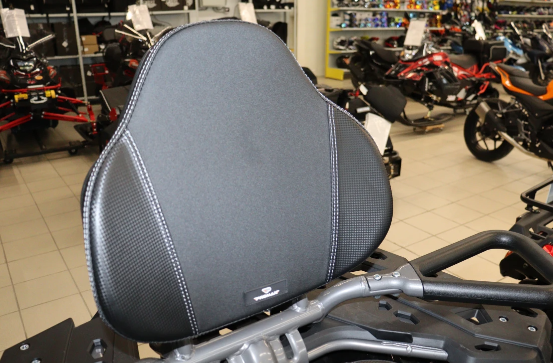 Квадроцикл PROMAX RENEGADE 300 LONG WINCH PRO (2025) в Назрани