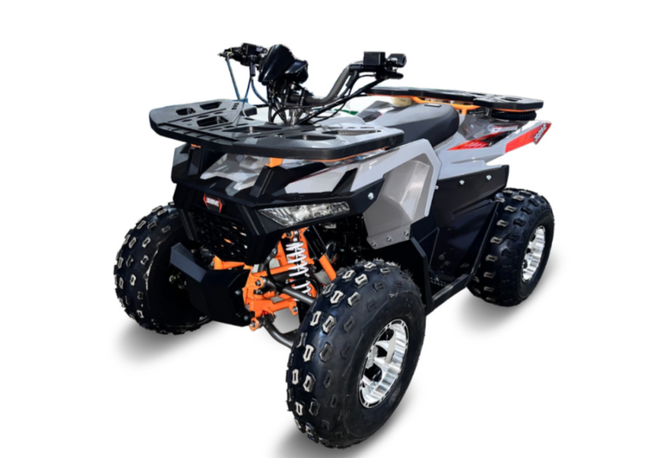 Квадроцикл GBM DAXTER 220 NEW PREMIUM в Назрани