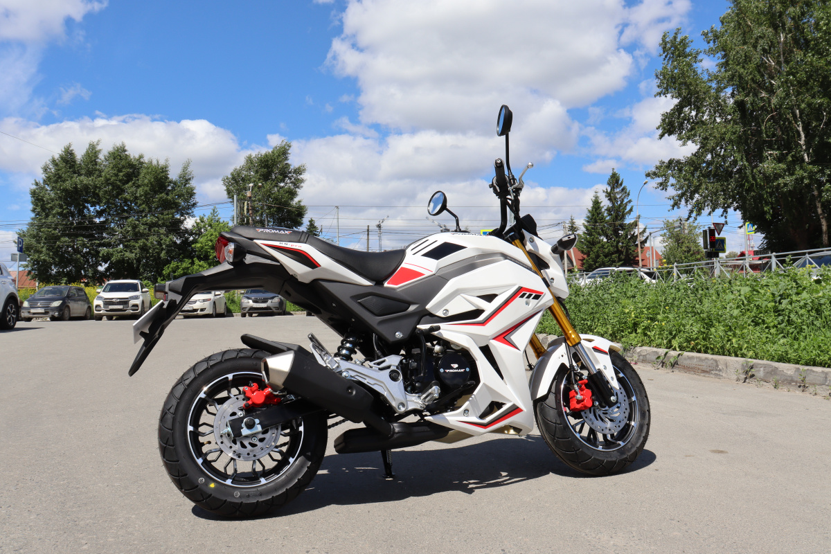 Мотоцикл PROMAX STRYKER 200(49) 2.0 в Назрани