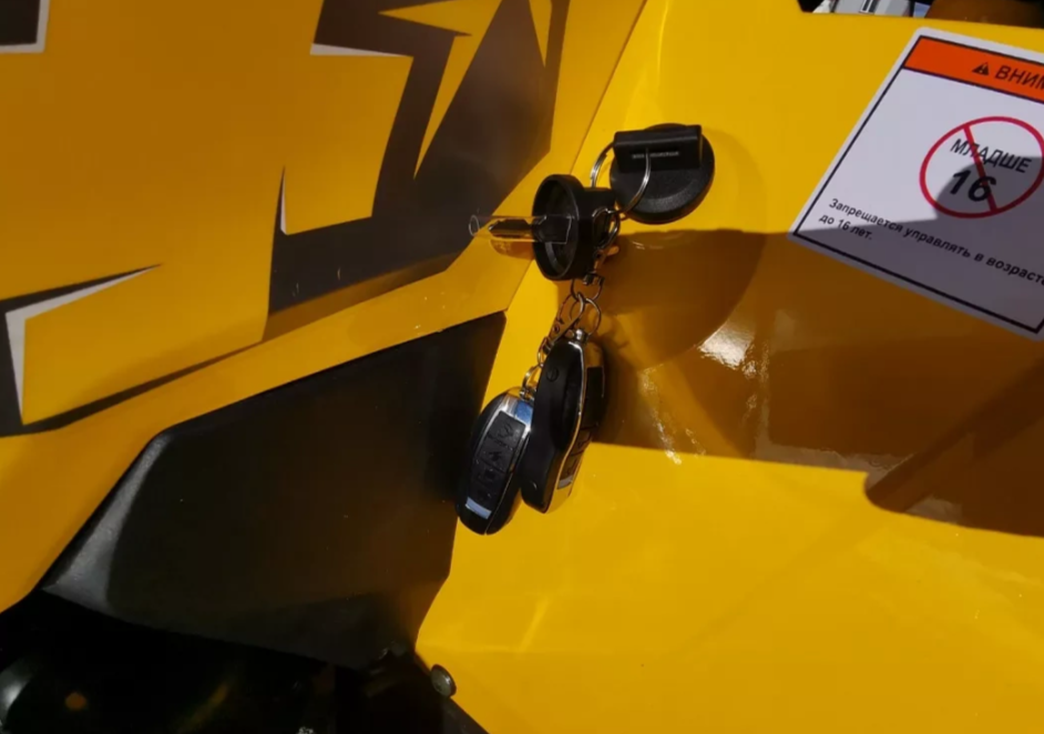 Квадроцикл MOTOLAND (МОТОЛЕНД) VOX200 WILD TRACK X PRO (баланс. вал) в Назрани