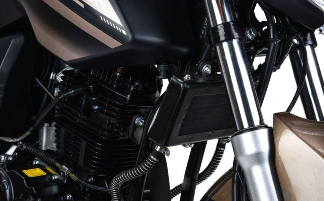 Мотоцикл MOTOLAND (МОТОЛЕНД) 300 BANDIT в Назрани