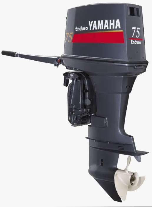 Лодочный мотор YAMAHA E75BMHDL в Назрани