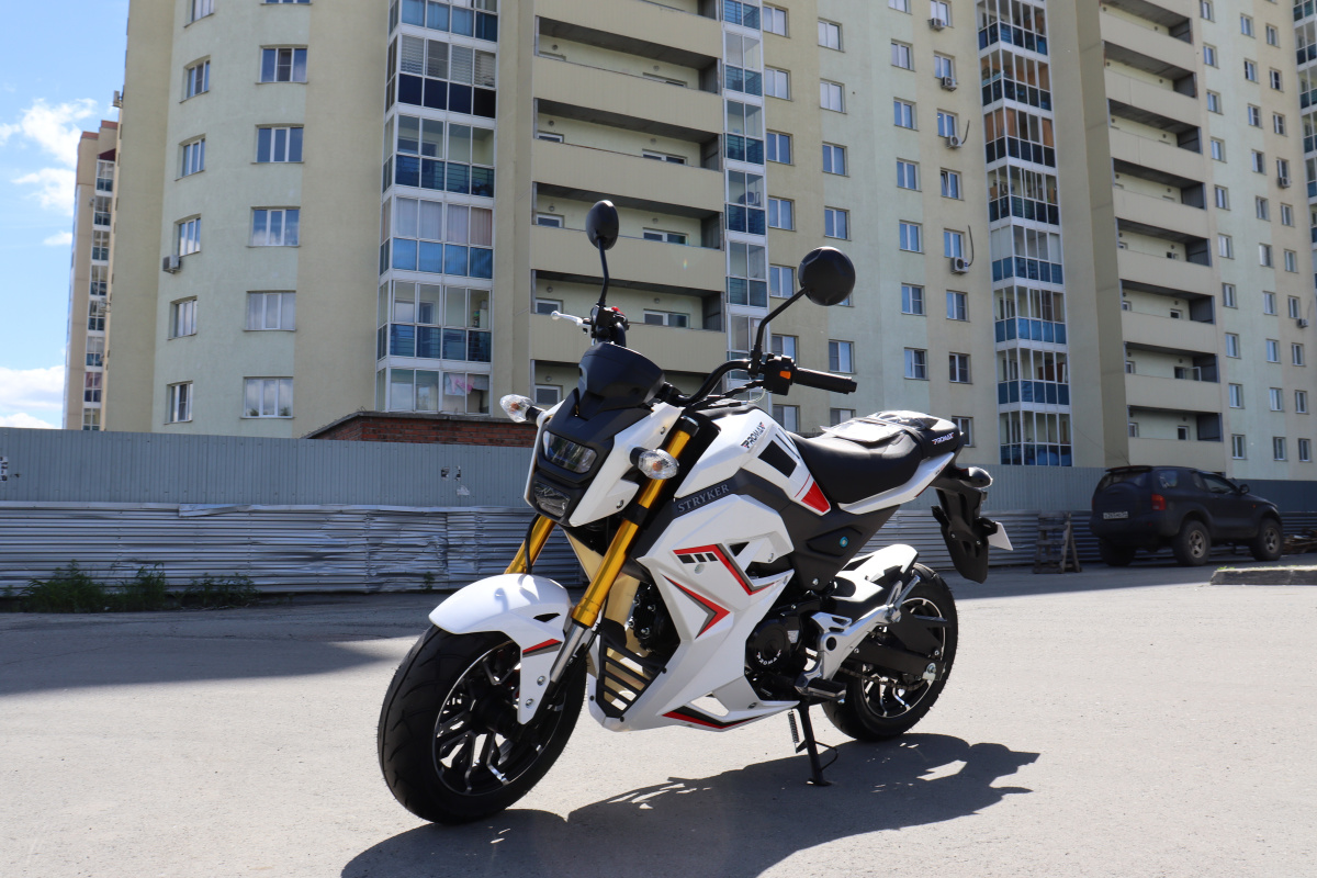Мотоцикл PROMAX STRYKER 200(49) 2.0 в Назрани
