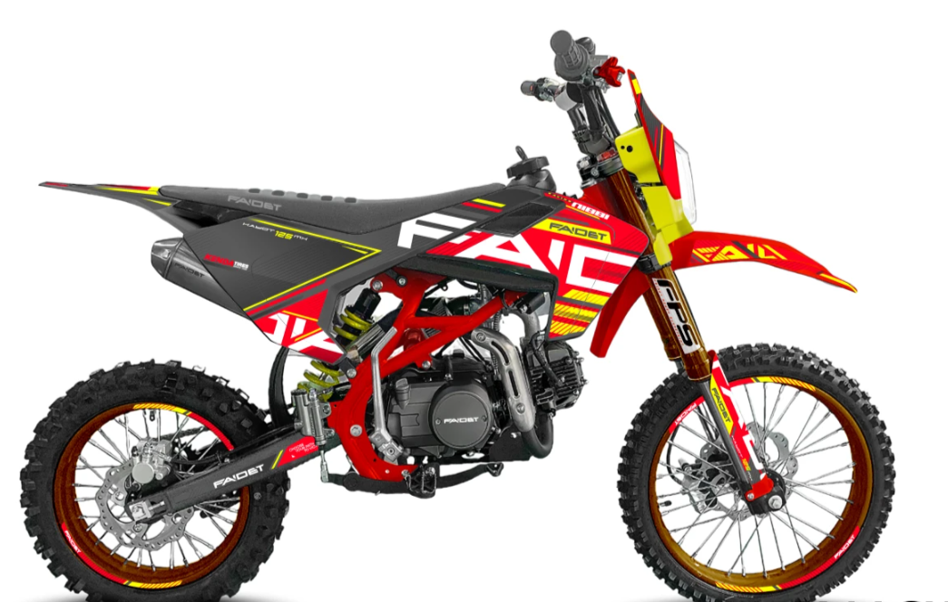 Питбайк FAIDET KAYOT 125E-PRO 17/14 в Назрани
