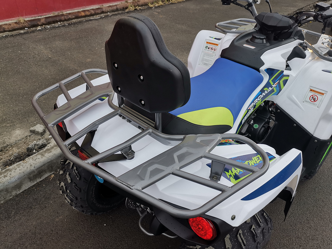 Квадроцикл PROMAX RENEGADE 280 LUX (2025) в Назрани