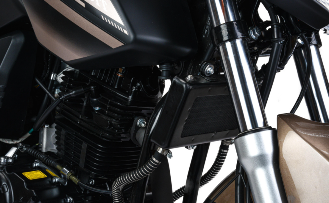 Мотоцикл MOTOLAND (МОТОЛЕНД) 300 BANDIT в Назрани