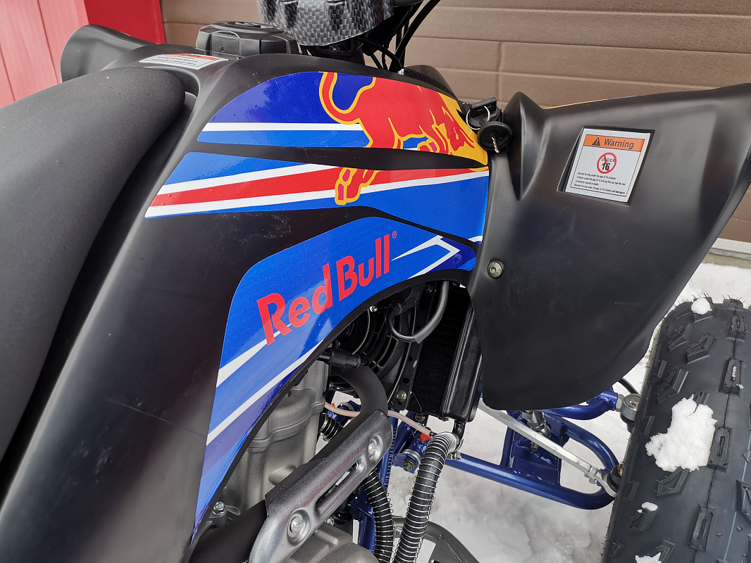 Квадроцикл PROMAX RAPTOR 300 NEW RedBull в Назрани