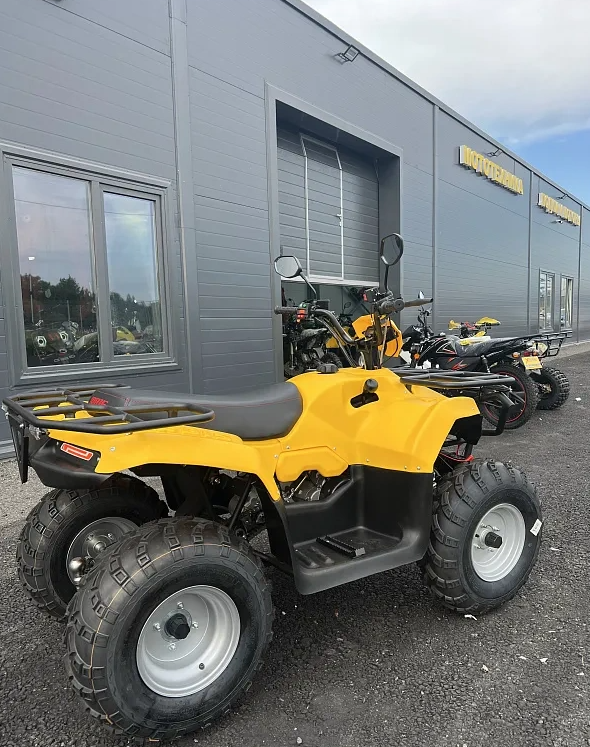 КВАДРОЦИКЛ IRBIS ATV 250  в Назрани