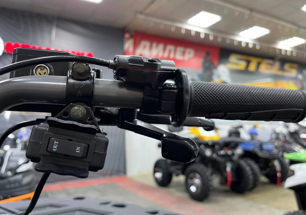 Квадроцикл PROMAX RENEGADE 300 LONG WINCH PRO (2025) в Назрани