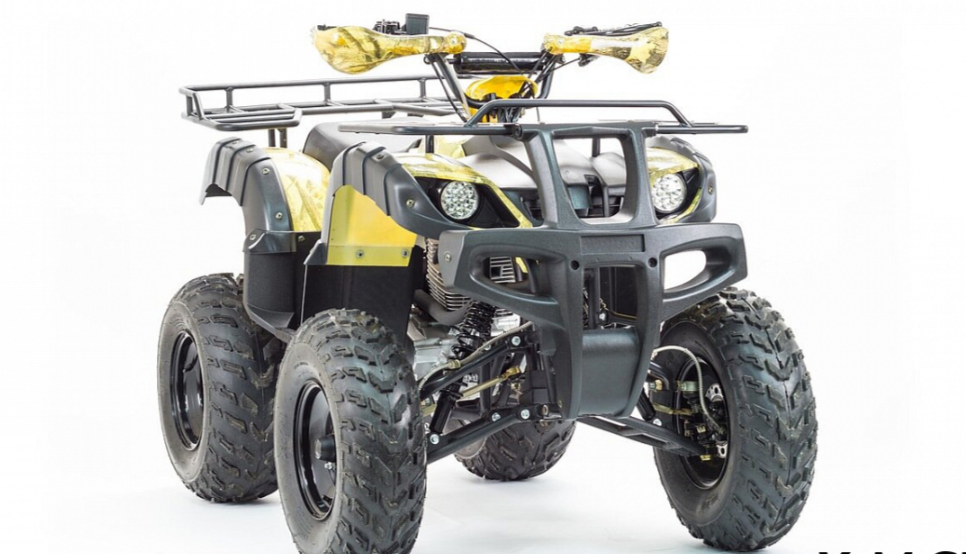 Квадроцикл MOTOLAND (МОТОЛЕНД) 250 ADVENTURE в Назрани