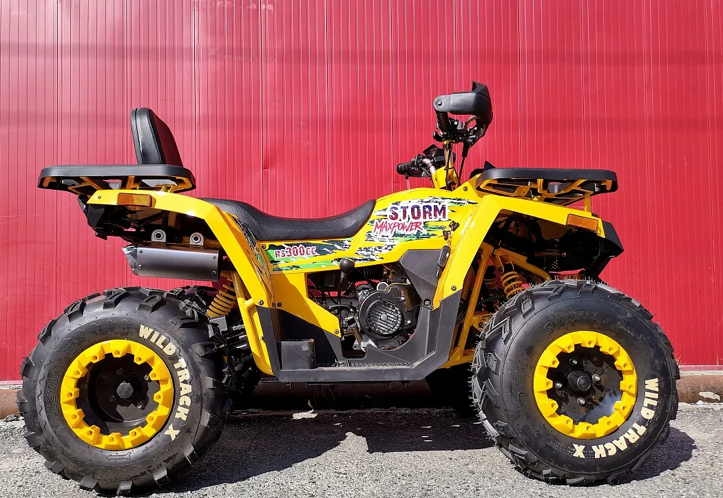 Квадроцикл PROMAX STORM 280 LUX в Назрани