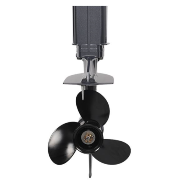 Лодочный мотор ALLFA CG Т40FW S в Назрани