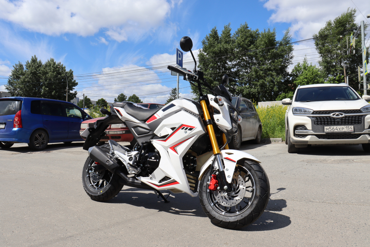 Мотоцикл PROMAX STRYKER 200(49) 2.0 в Назрани