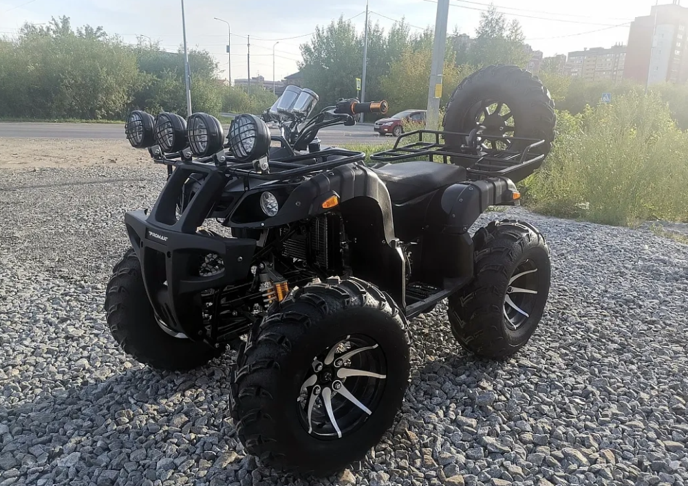Квадроцикл PROMAX LEO 300 Max (кардан) в Назрани