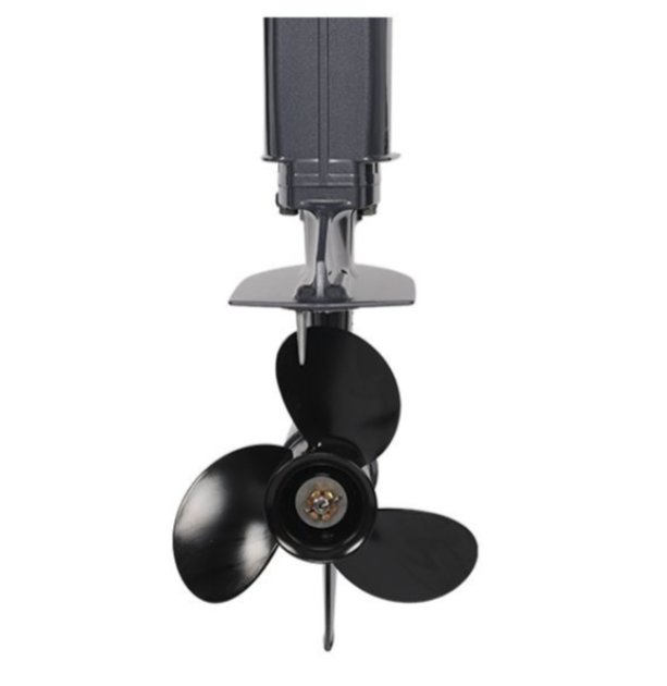 Лодочный мотор ALLFA CG Т40FWT S в Назрани