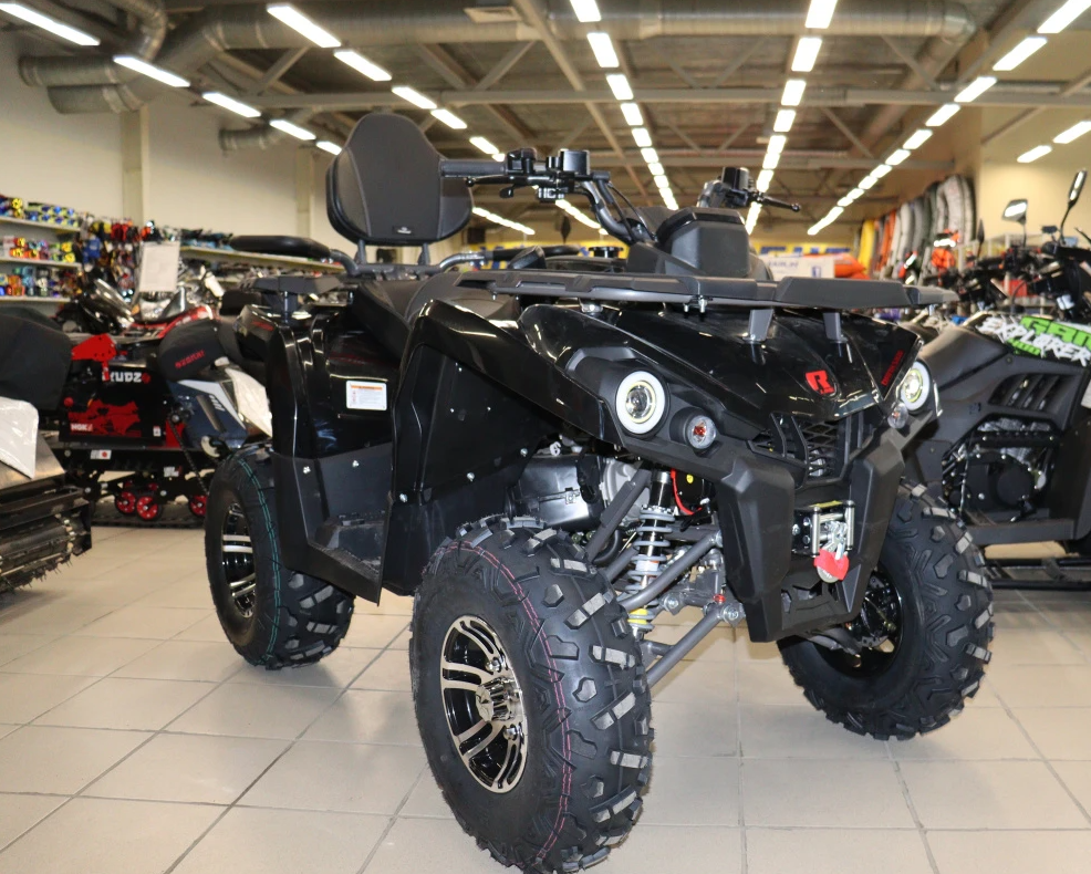 Квадроцикл PROMAX RENEGADE 300 LONG WINCH PRO (2025) в Назрани