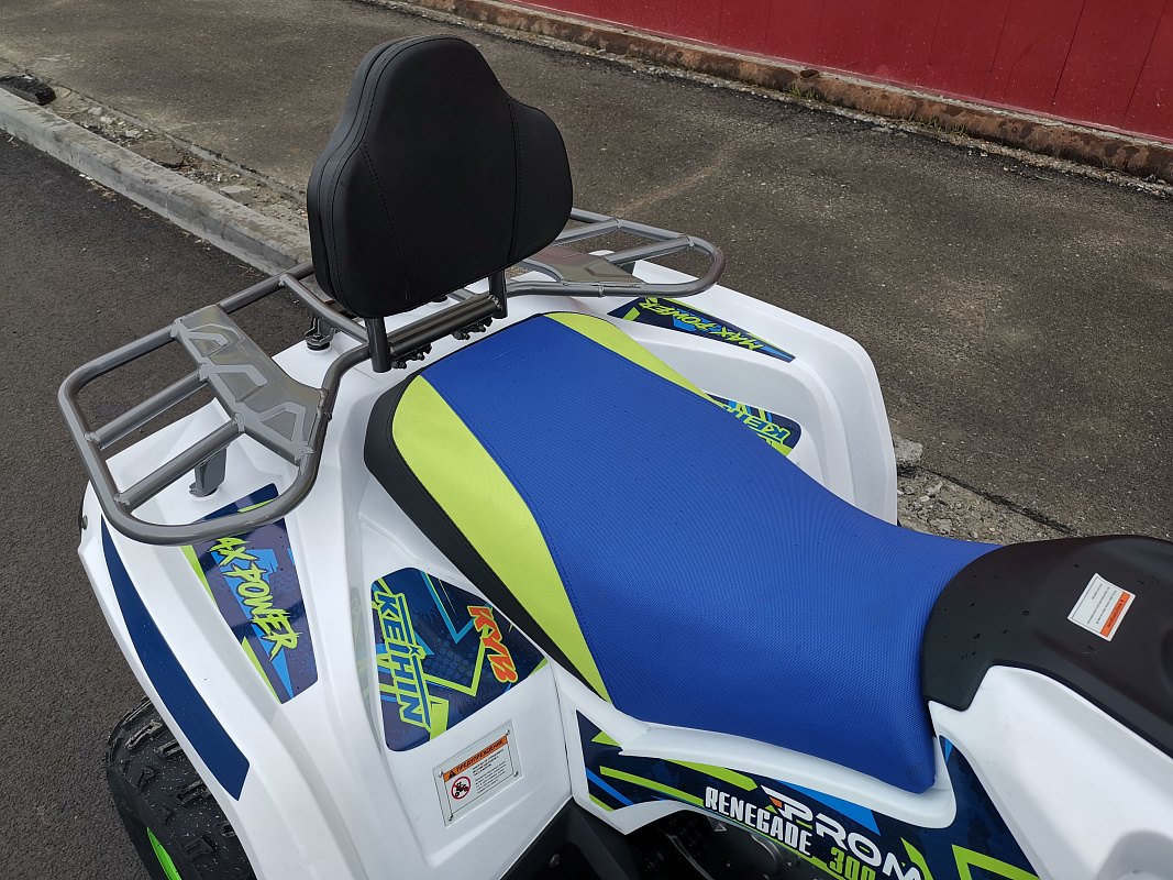Квадроцикл PROMAX RENEGADE 280 LUX (2025) в Назрани