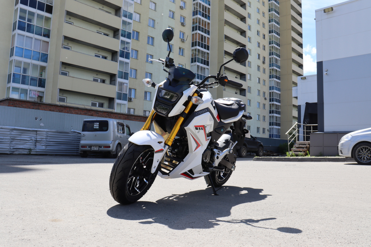 Мотоцикл PROMAX STRYKER 200(49) 2.0 в Назрани