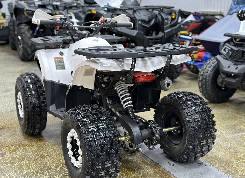 Квадроцикл PROMAX WILD 2.0 190 в Назрани