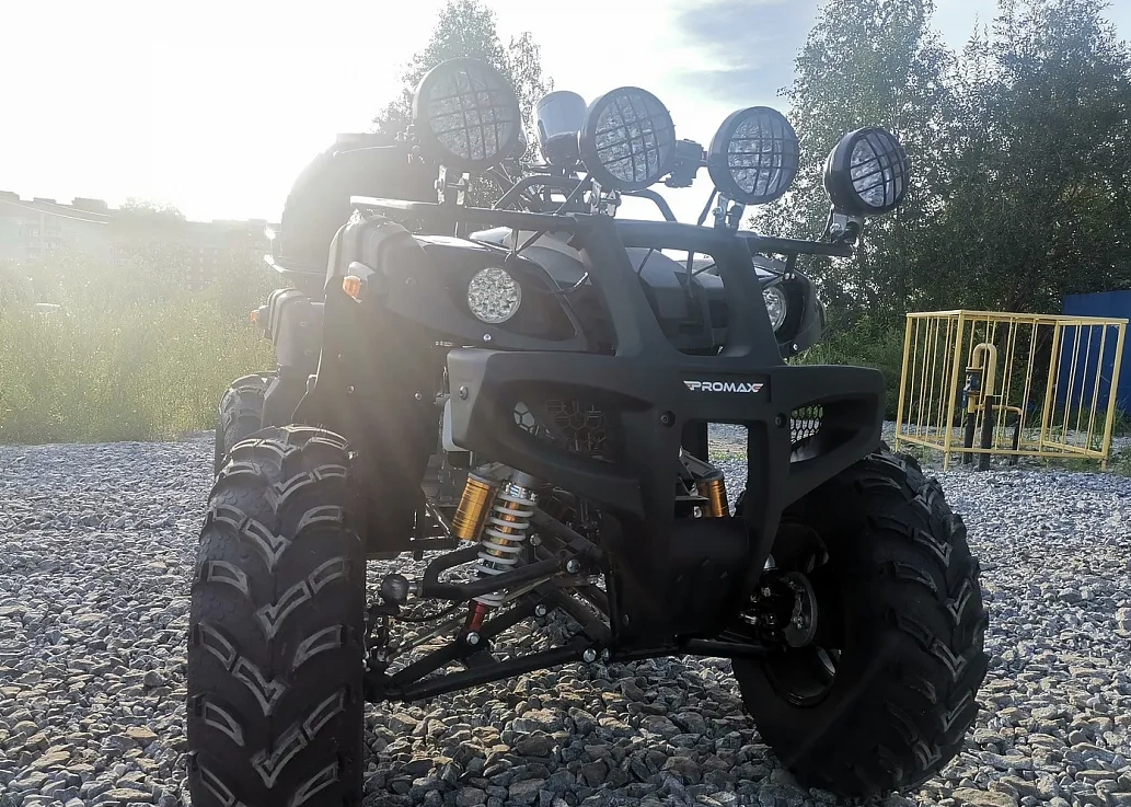 Квадроцикл PROMAX LEO 300 Max (кардан) в Назрани
