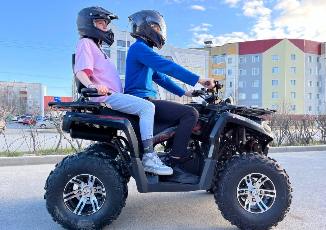 Квадроцикл PROMAX RENEGADE 300 LONG WINCH PRO (2025) в Назрани