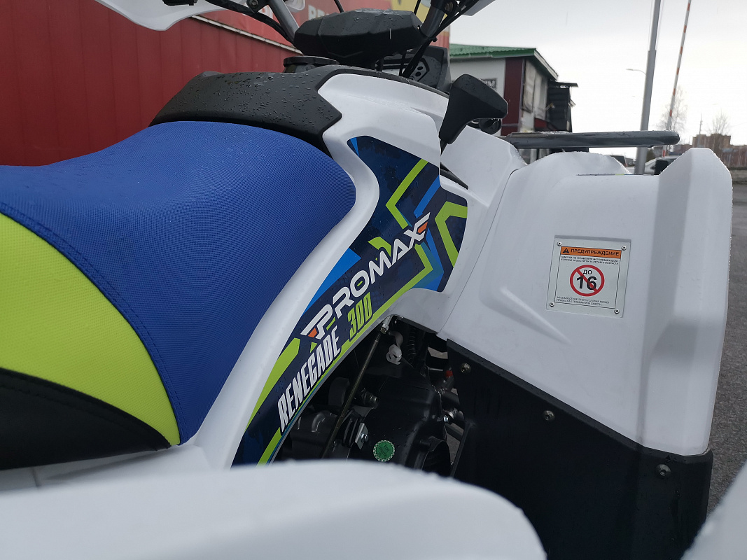 Квадроцикл PROMAX RENEGADE 280 LUX (2025) в Назрани