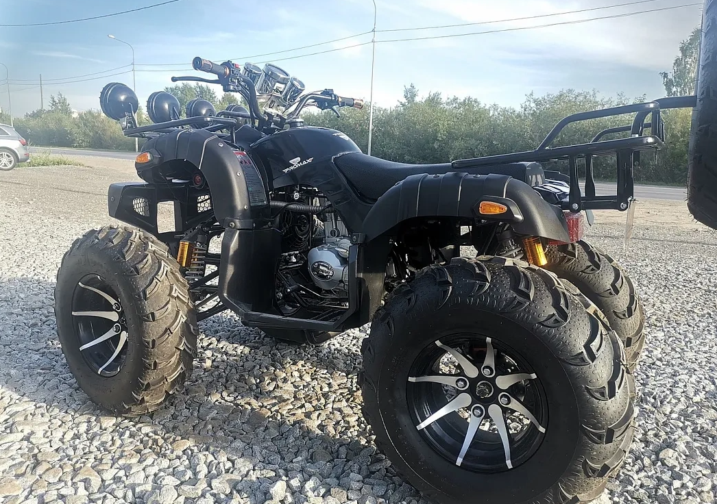 Квадроцикл PROMAX LEO 300 Max (кардан) в Назрани