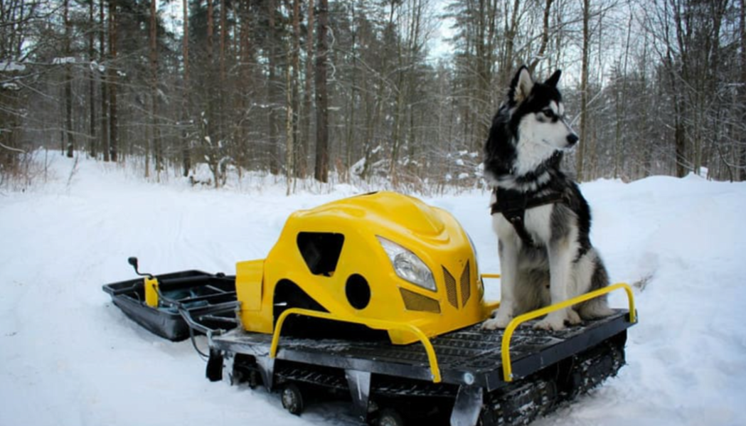 Мотобуксировщик LEBEDEV MOTORS ВОЛКОДАВ POWER V13 в Назрани