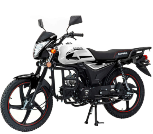 Мопед MOTOLAND (МОТОЛЕНД) Альфа RS 11 (LM48-B) в Назрани