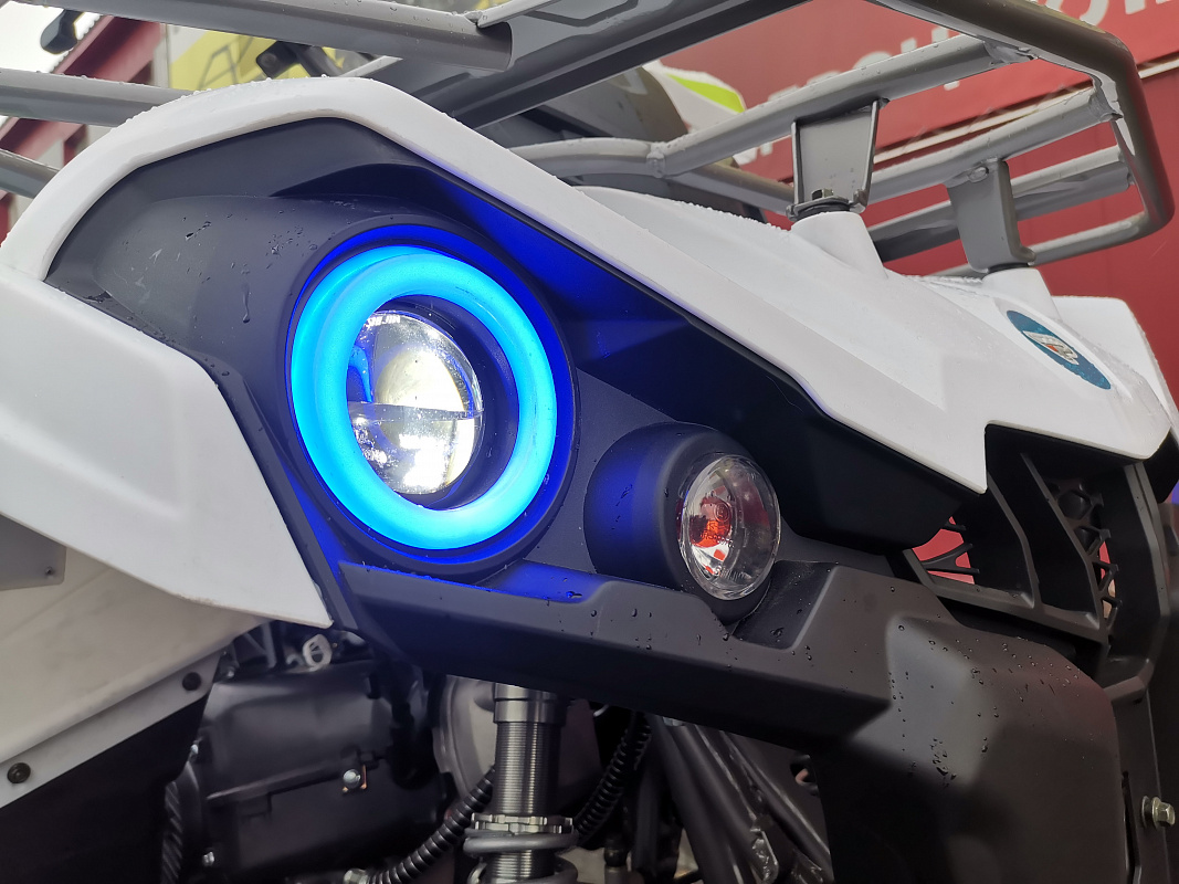 Квадроцикл PROMAX RENEGADE 280 LUX (2025) в Назрани