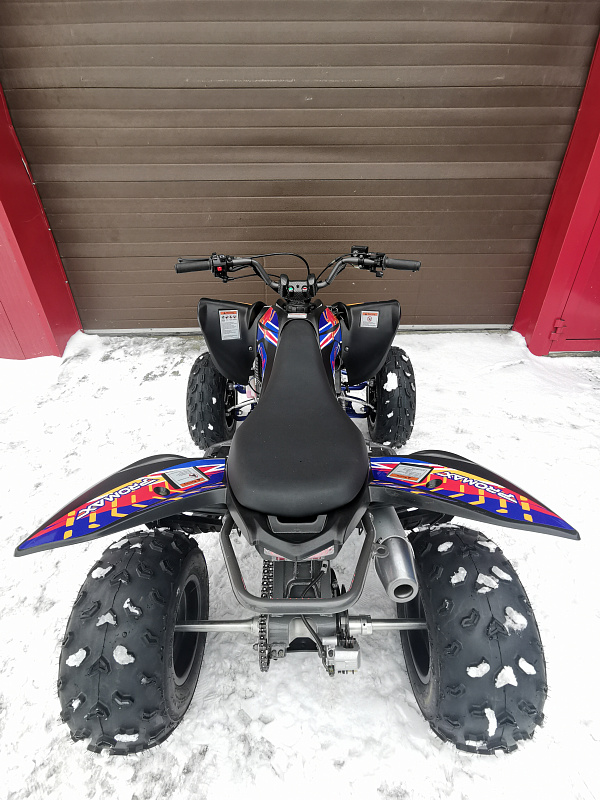 Квадроцикл PROMAX RAPTOR 300 NEW RedBull в Назрани