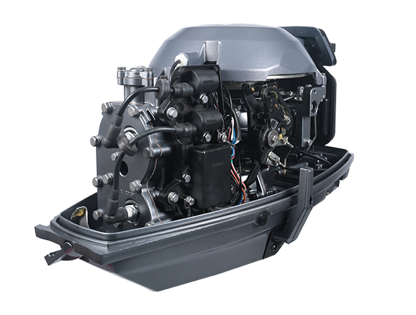 ЛОДОЧНЫЙ МОТОР ALLFA CG T30 FW S в Назрани