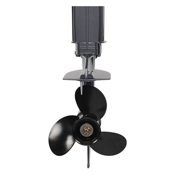 ЛОДОЧНЫЙ МОТОР ALLFA CG T30 FW S в Назрани