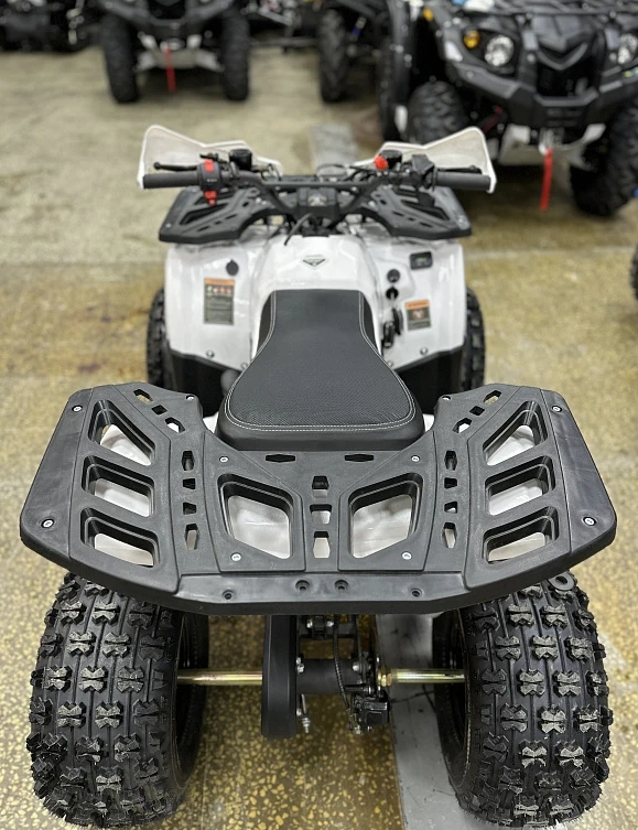 Квадроцикл PROMAX WILD 2.0 190 в Назрани