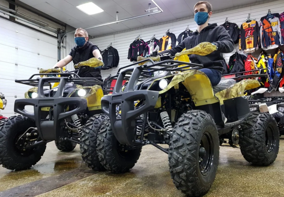 Квадроцикл PROMAX ATV 250 (2025) в Назрани