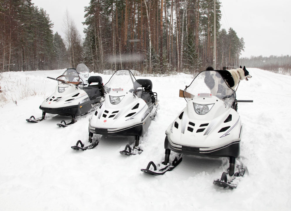 СНЕГОХОД РМ ТАЙГА ВАРЯГ 550 V в Назрани