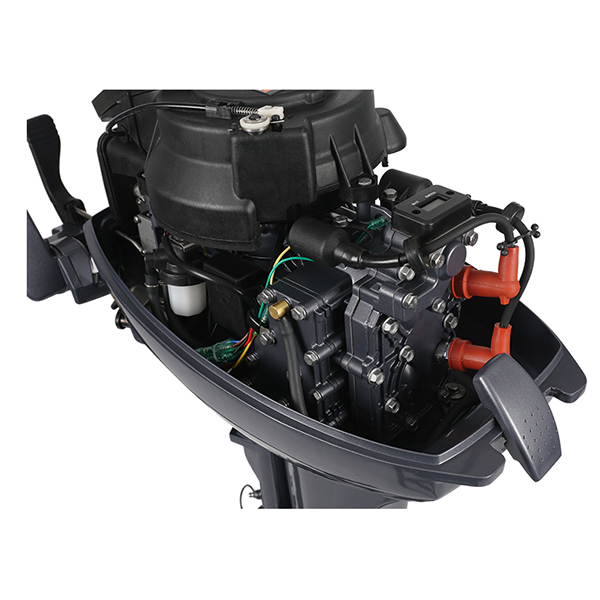 ЛОДОЧНЫЙ МОТОР ALLFA CG Т9,9 Limit в Назрани