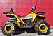Квадроцикл PROMAX STORM 280 LUX в Назрани