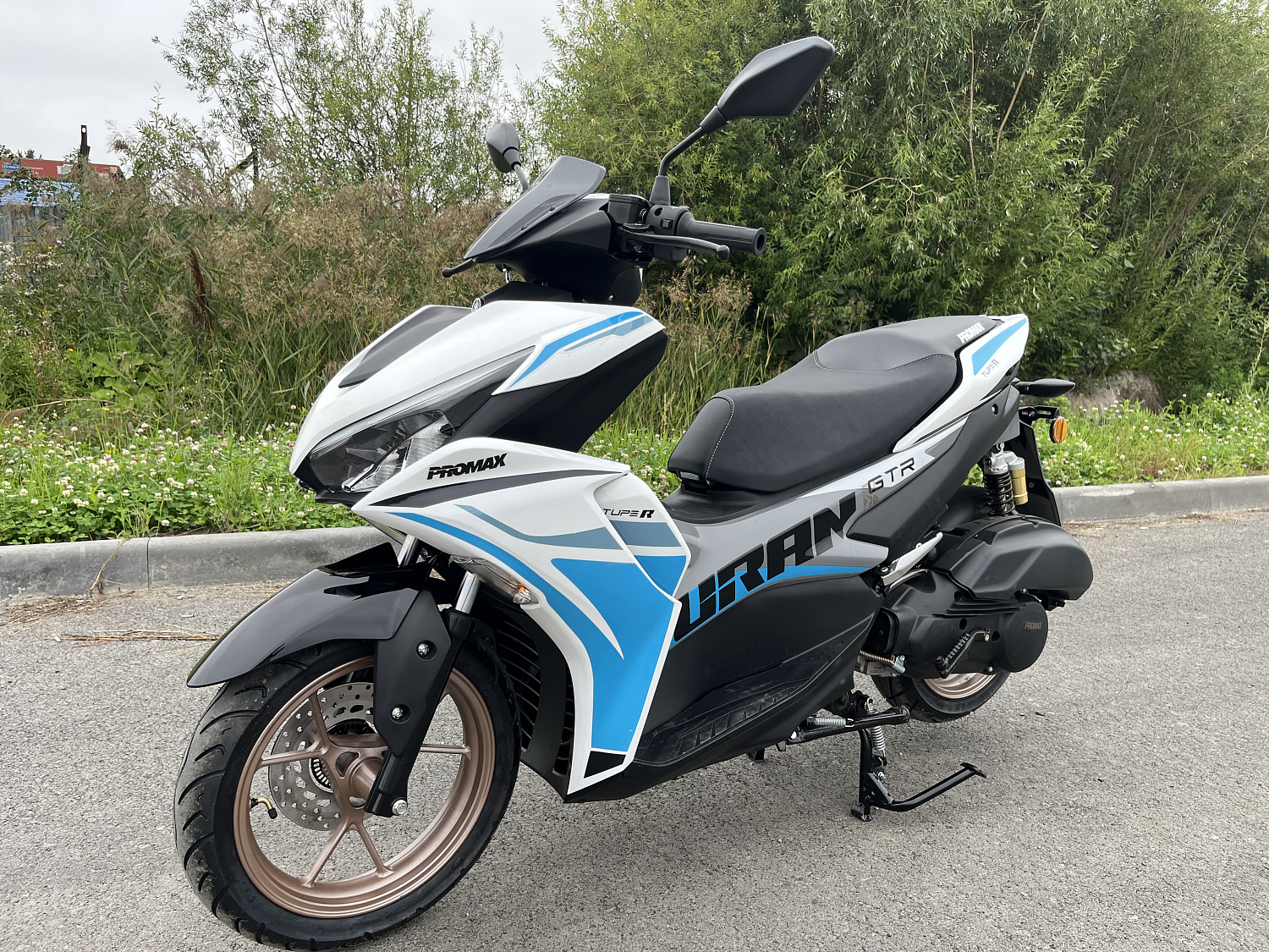 Скутер PROMAX TURAN 250 (49) в Назрани