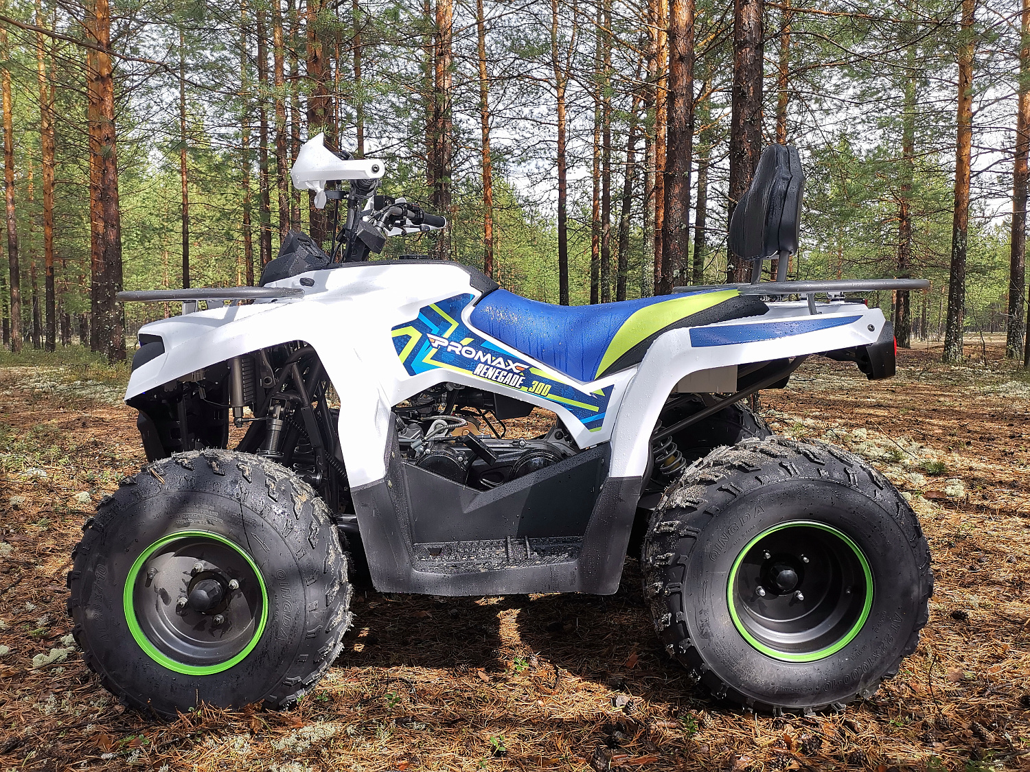 Квадроцикл PROMAX RENEGADE 280 (2025) в Назрани