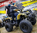 Квадроцикл PROMAX ATV 250 (2025) в Назрани