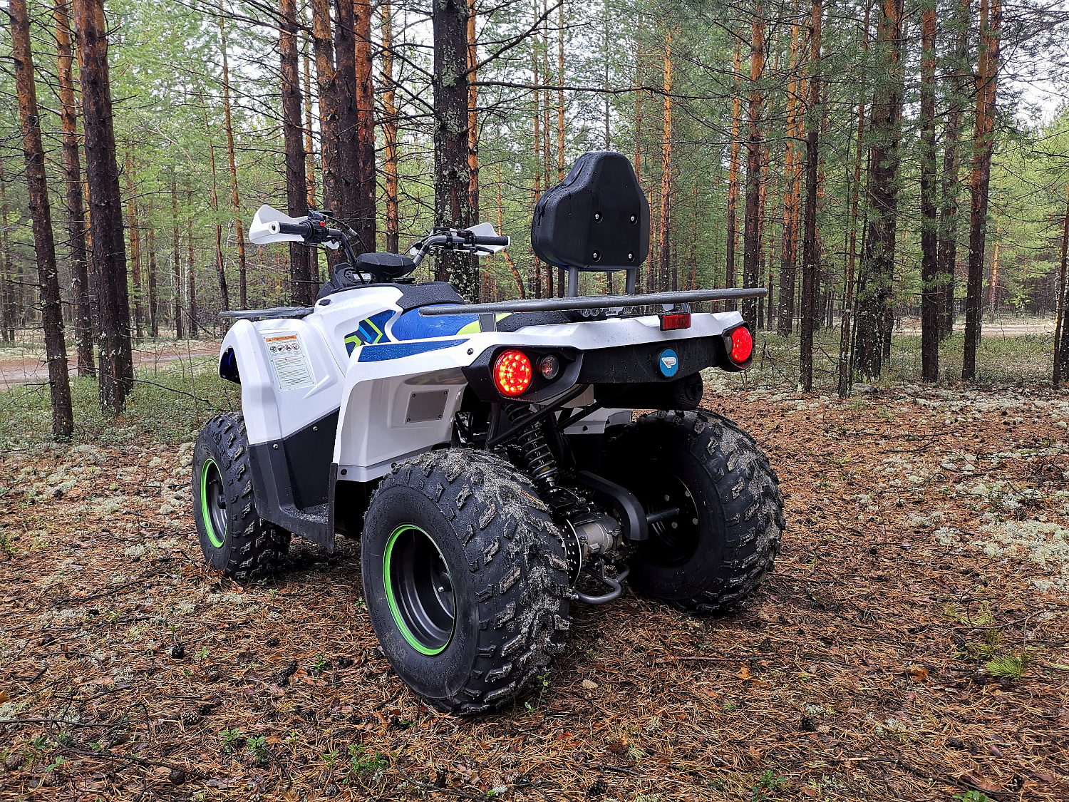 Квадроцикл PROMAX RENEGADE 280 (2025) в Назрани