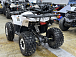 Квадроцикл PROMAX WILD 2.0 190 LUX в Назрани