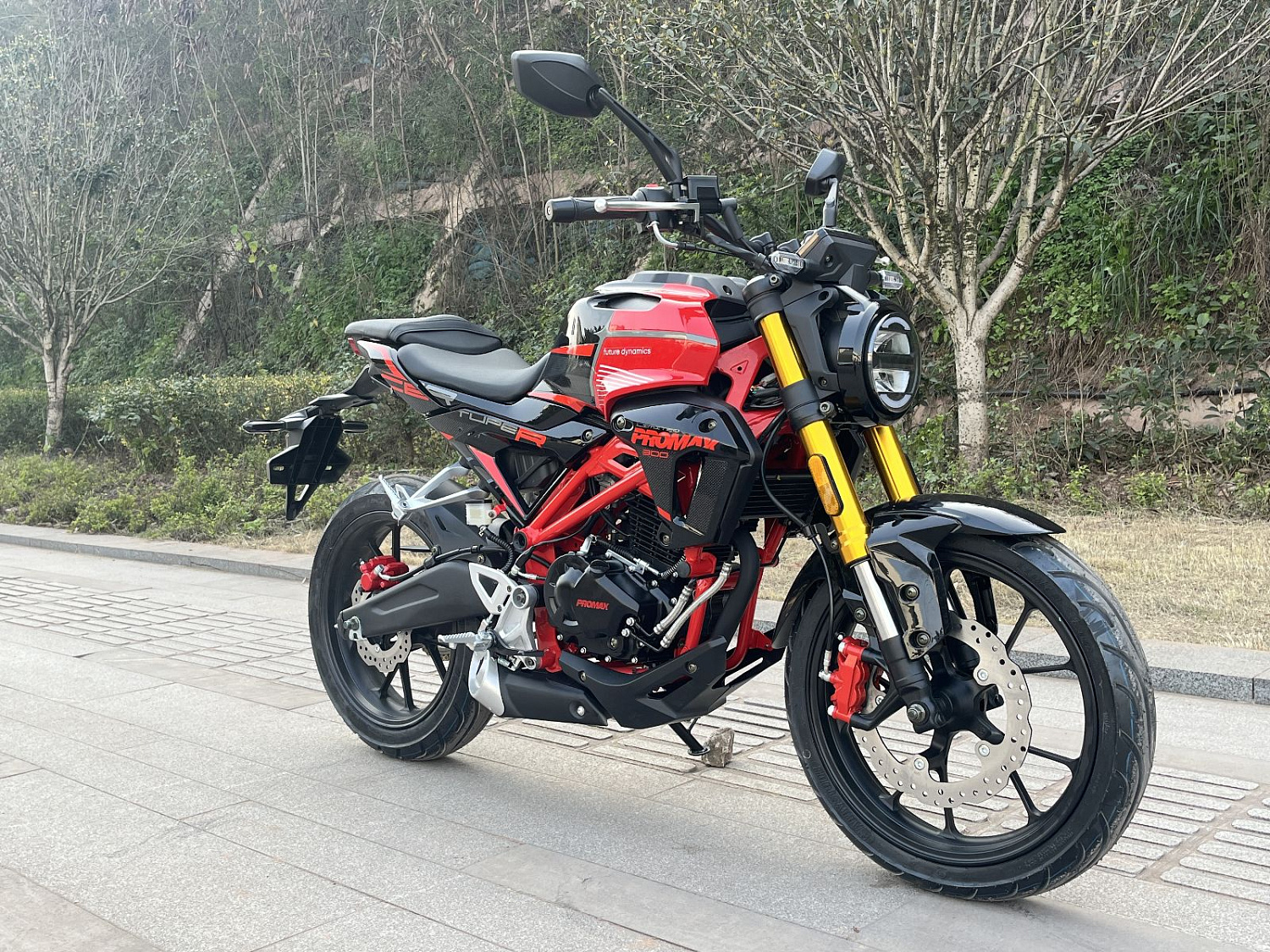 Мотоцикл PROMAX CB300RL (4V, 6G) в Назрани