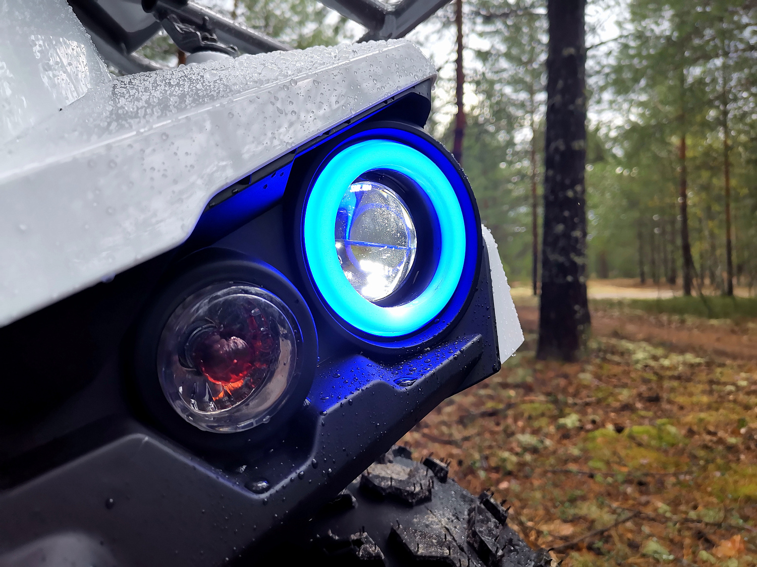 Квадроцикл PROMAX RENEGADE 280 (2025) в Назрани