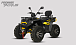 Квадроцикл PROMAX TAURUS 300 MAX-PRO LONG в Назрани